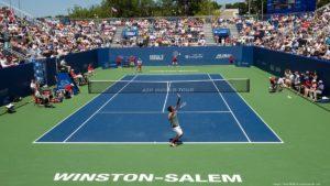 Уинстон-Салем (Winston-Salem Open) - американский турнир на твердом покрытии, проходящий прямо перед стартом US Open
