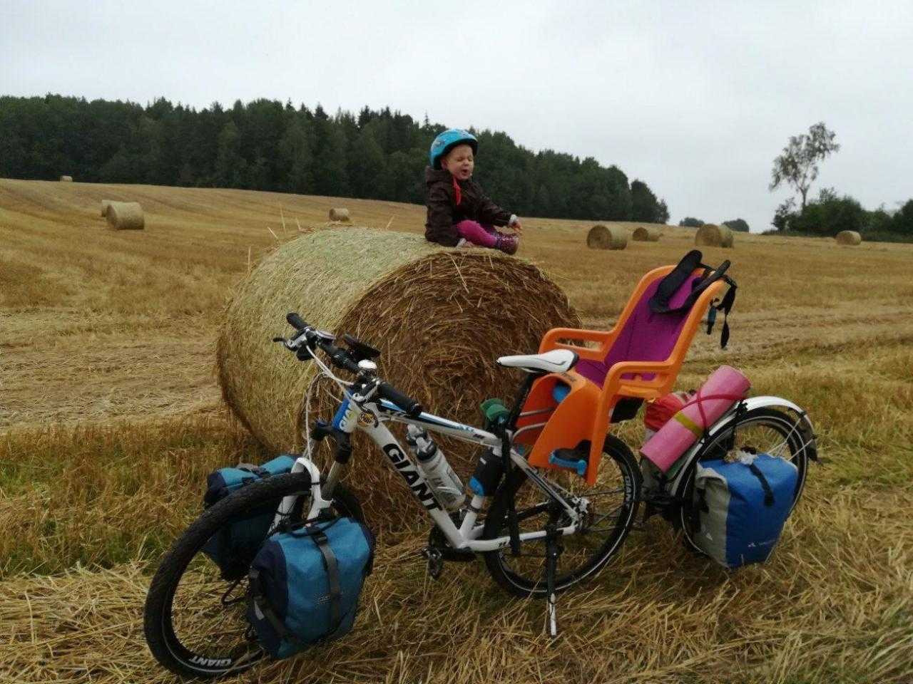 Велосипед для заготовки сена