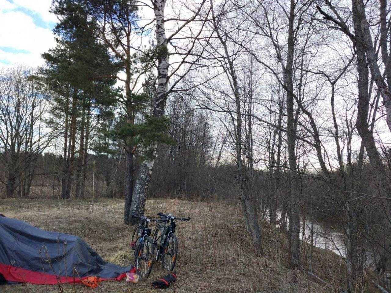 Велосипед в палатке в лесу