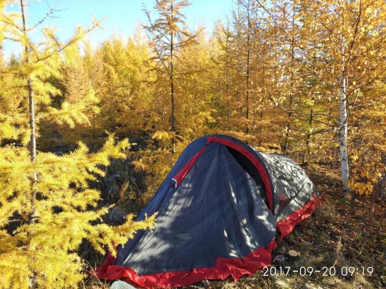 Палатки в осеннем лесу