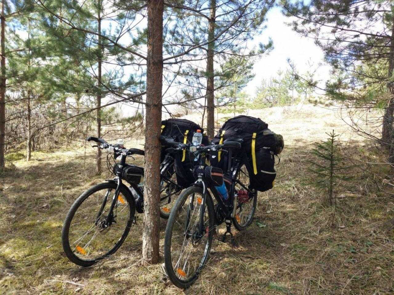 Велосипед у дерева в лесу с велосипедными брюками