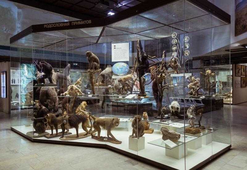 Дарвиновский музей