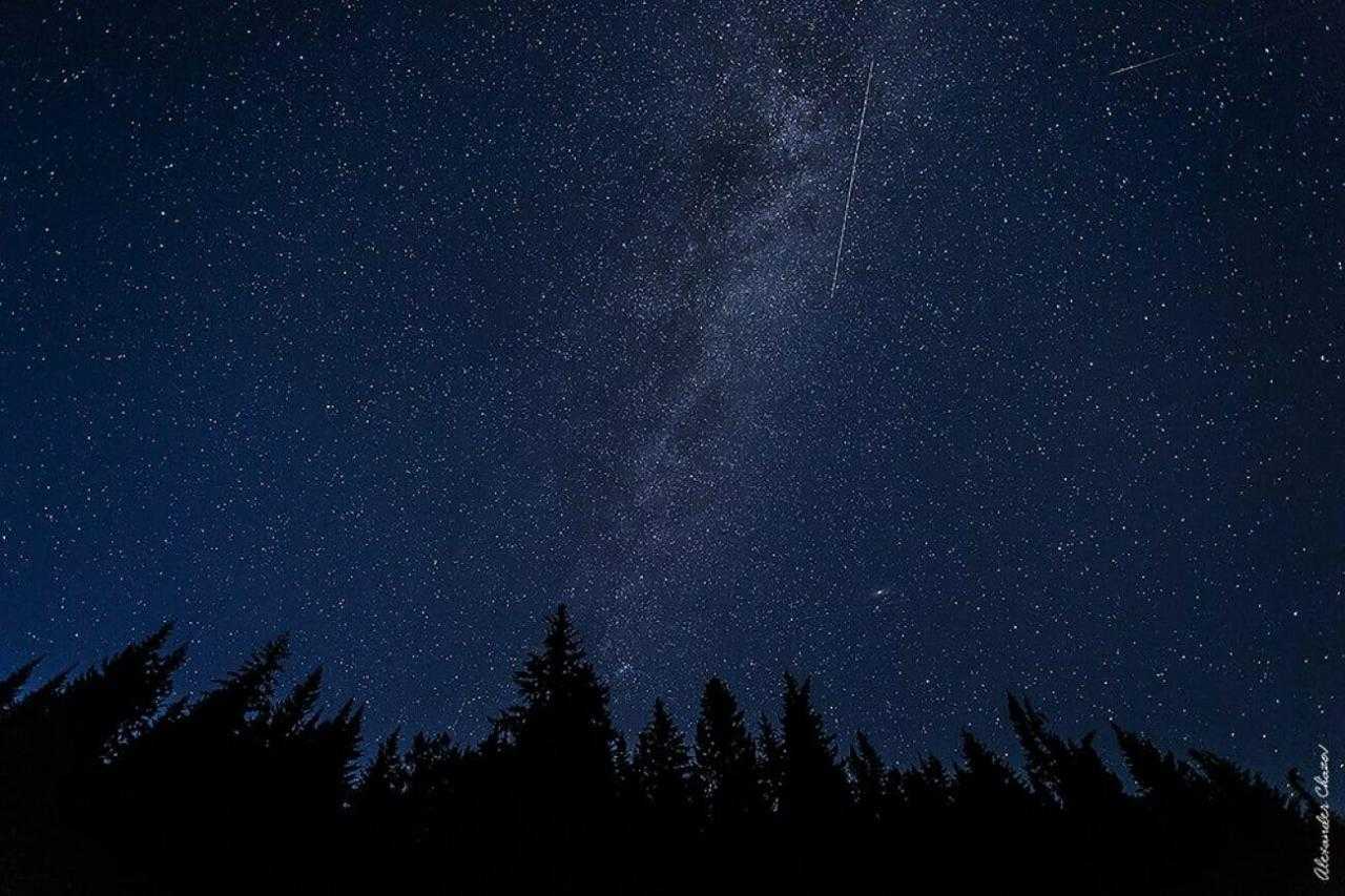 Звездное небо над лесом
