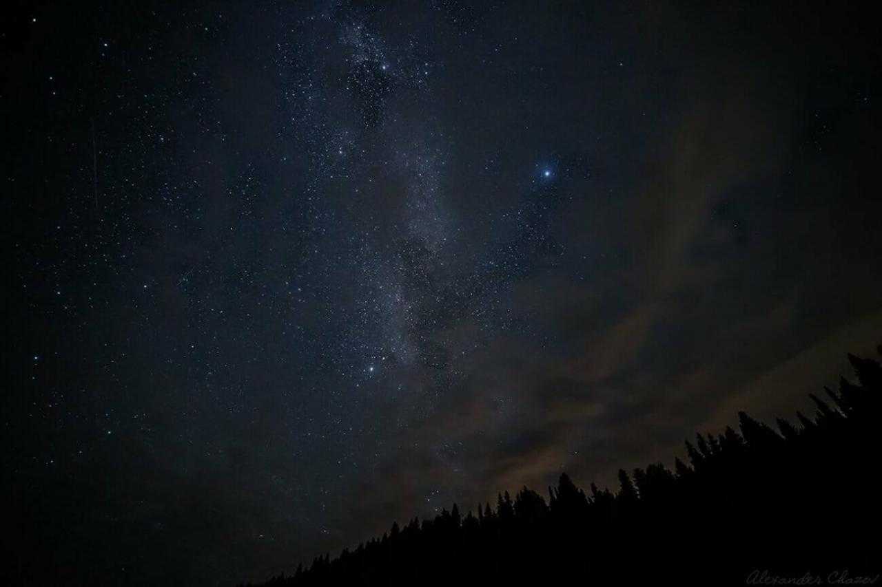 Млечный путь над лесом ночью