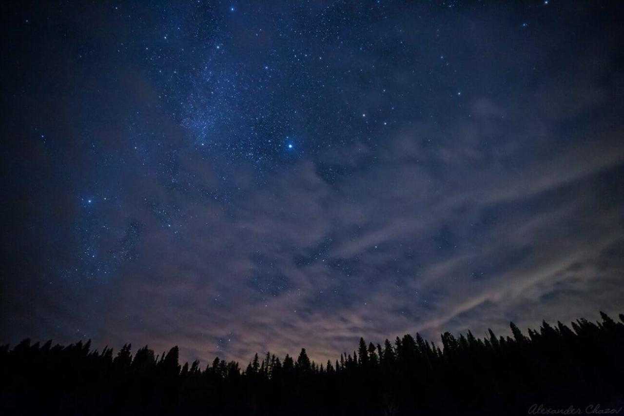 Одинокая звезда в лесу ночью