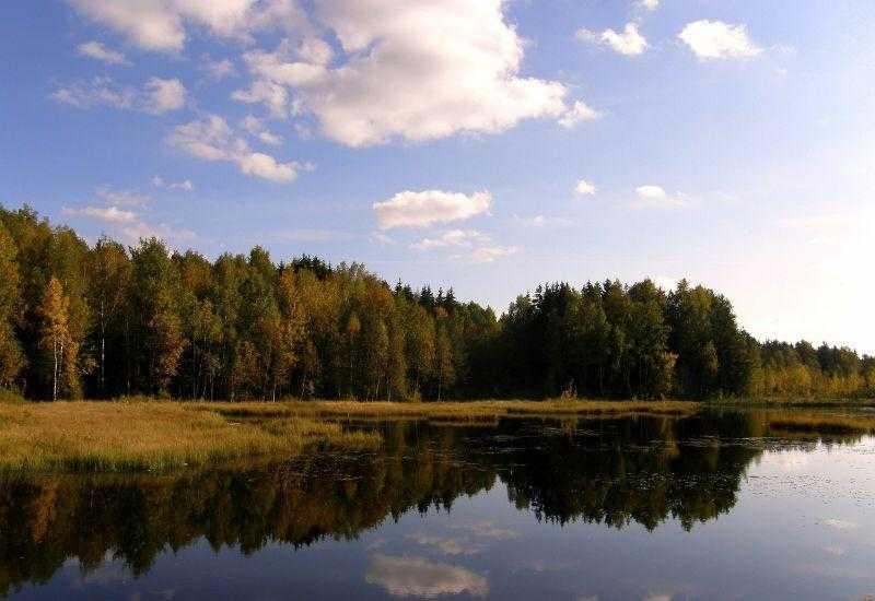 Озеро Черное Зеленоград