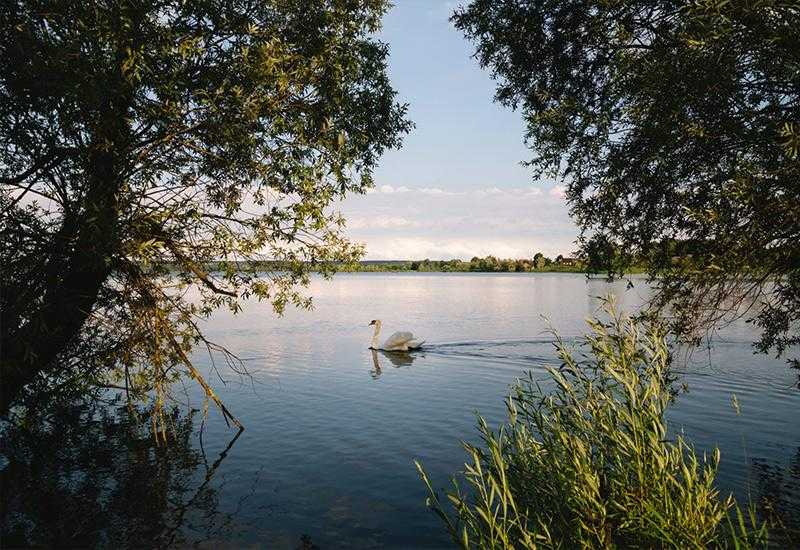 Виштинецкое озеро в Калининградской области