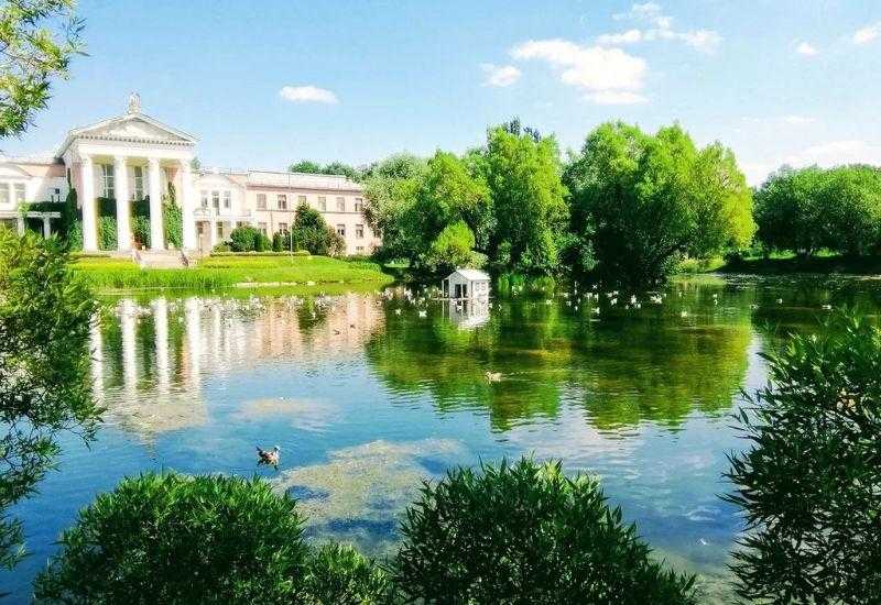 Ботанический сад Москва Места, куда можно пойти с детьми