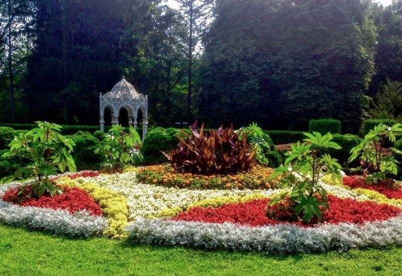 Ботанический сад Минск Куда пойти