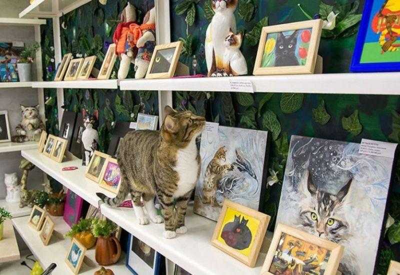 Музей кошки Минск с детьми