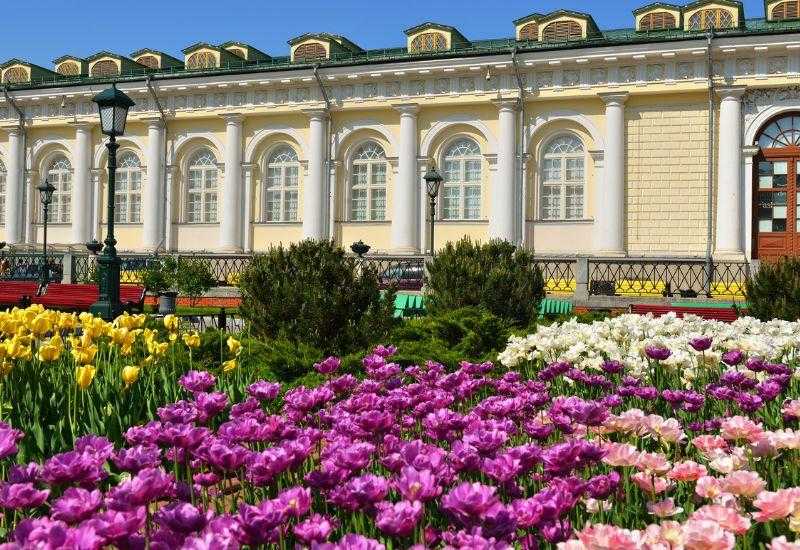 Александровский сад Москва Куда пойти