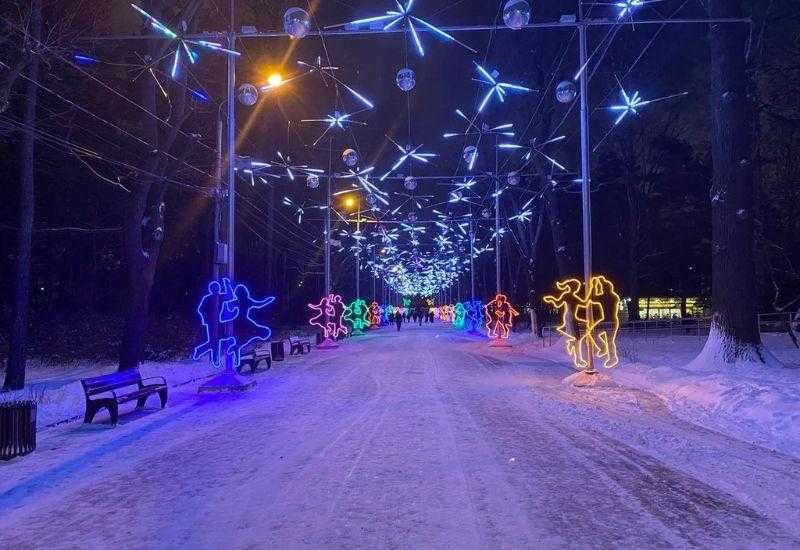 Парк Сокольники Московская зима