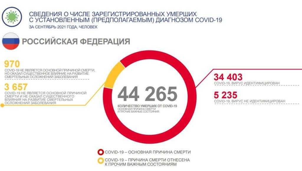 Смертность в России во время пандемии Ковид-19