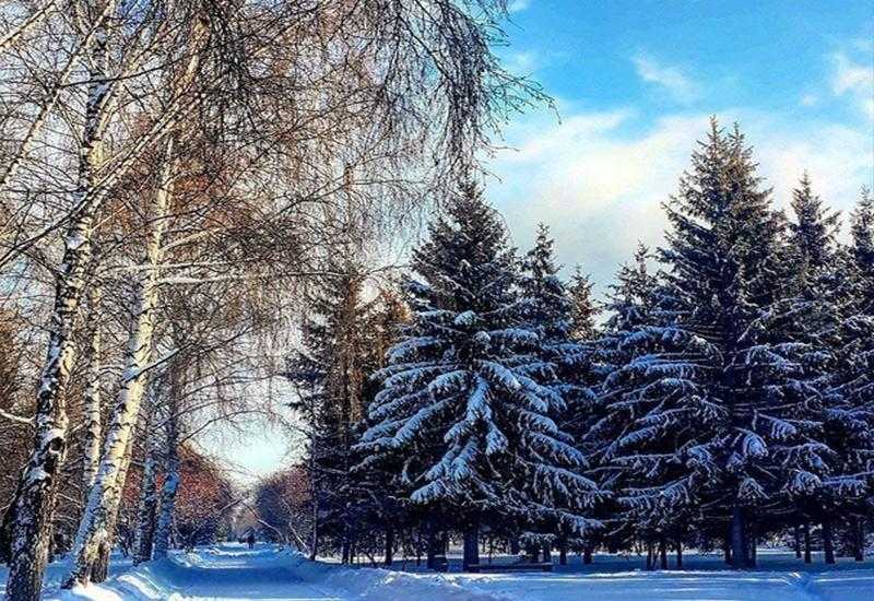 Академгородок новосибирск зима