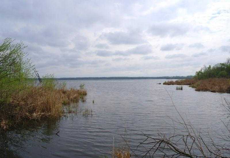 Озеро Мором Московская область