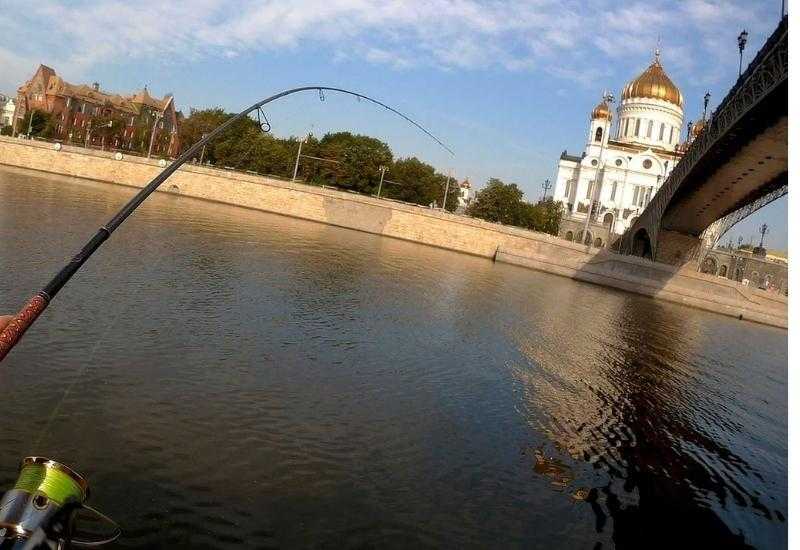 Рыбалка река Москва