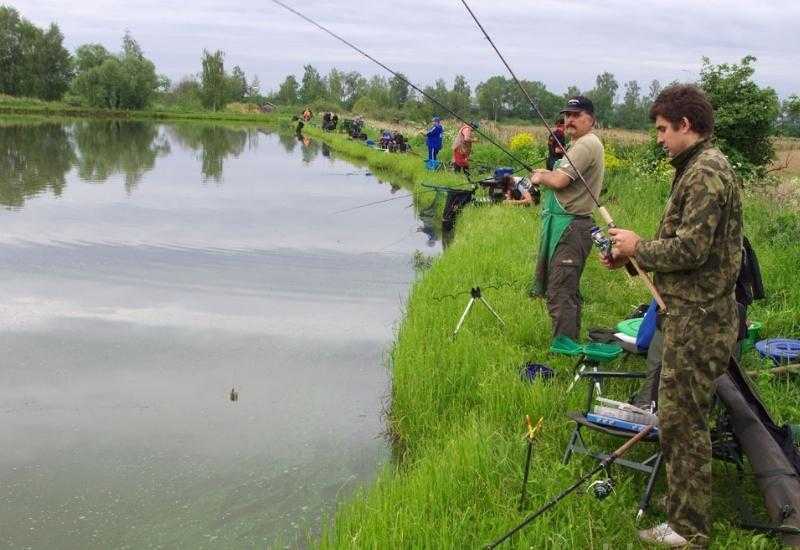 Рыбхоз Сенеж платная рыбалка Московская область
