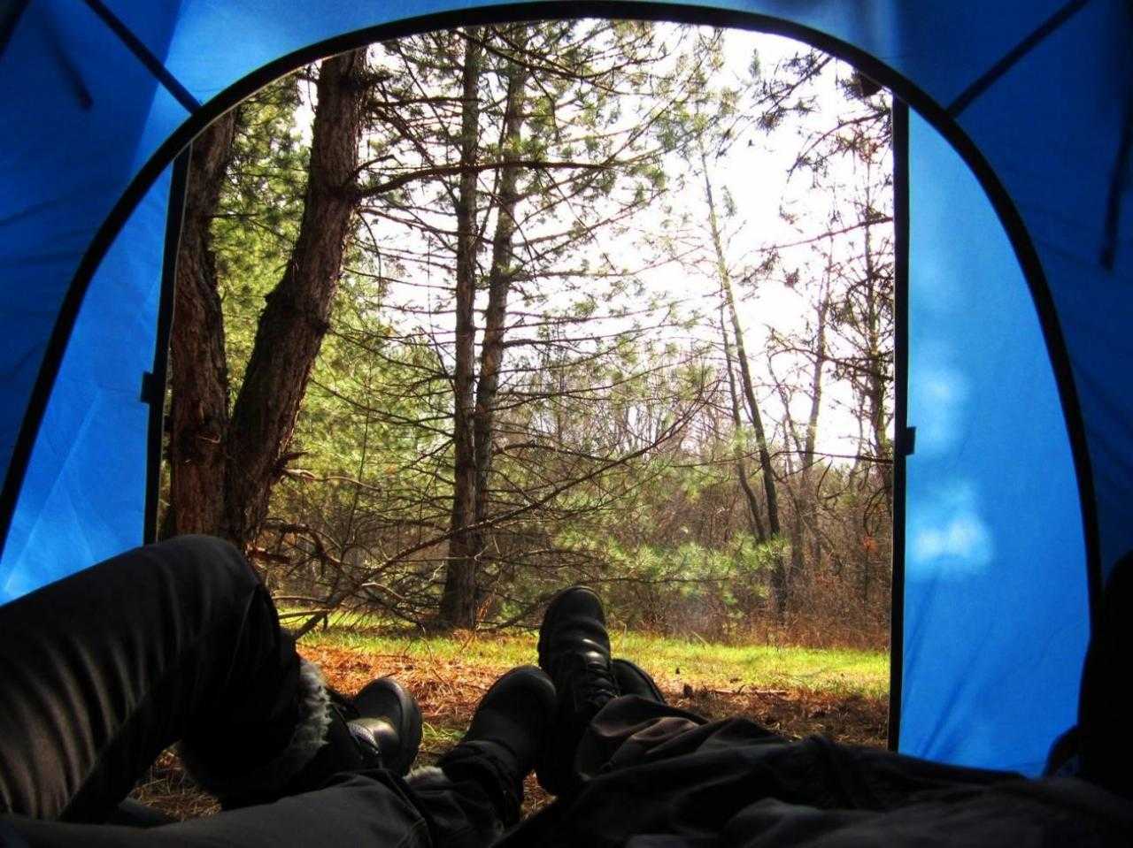 Турист отдыхает в палатке в лесу