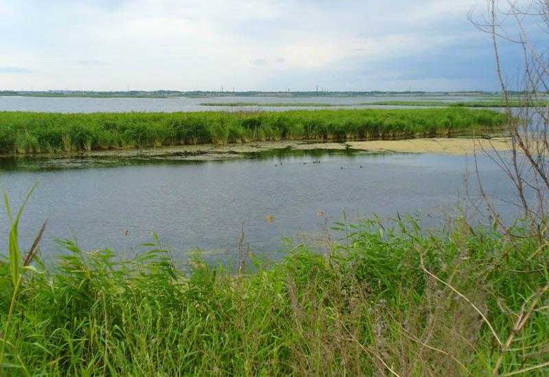 Озеро Шелюгино Рыбалка Челябинская область