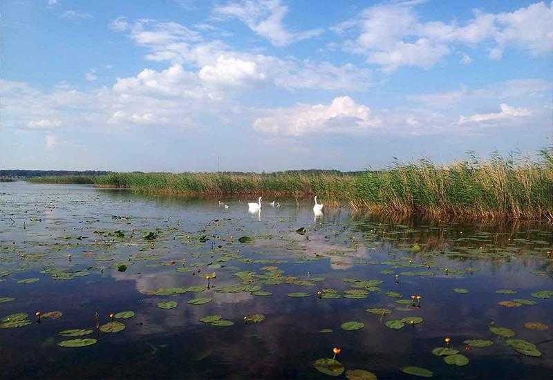 Малое озеро Кременкуль в Челябинской области