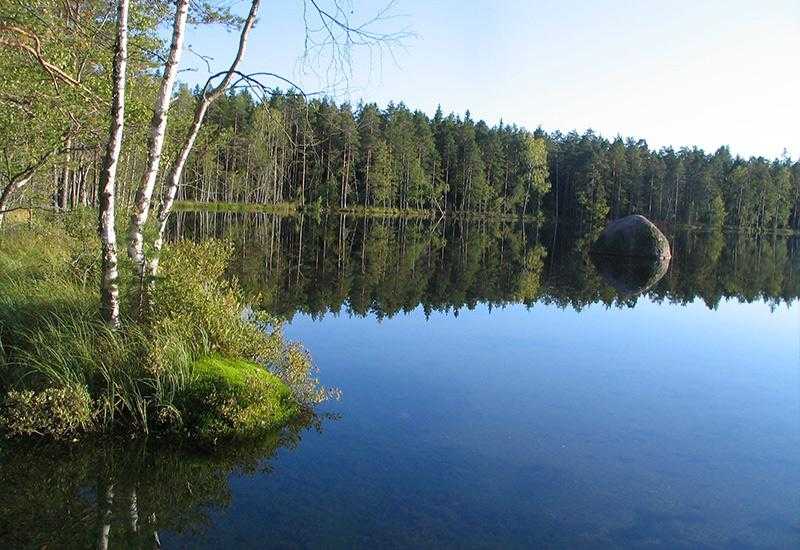 Невское озеро Приозерский район
