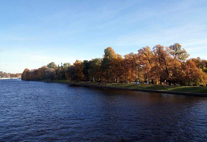 Река Большаневка Санкт-Петербургское рыбное хозяйство