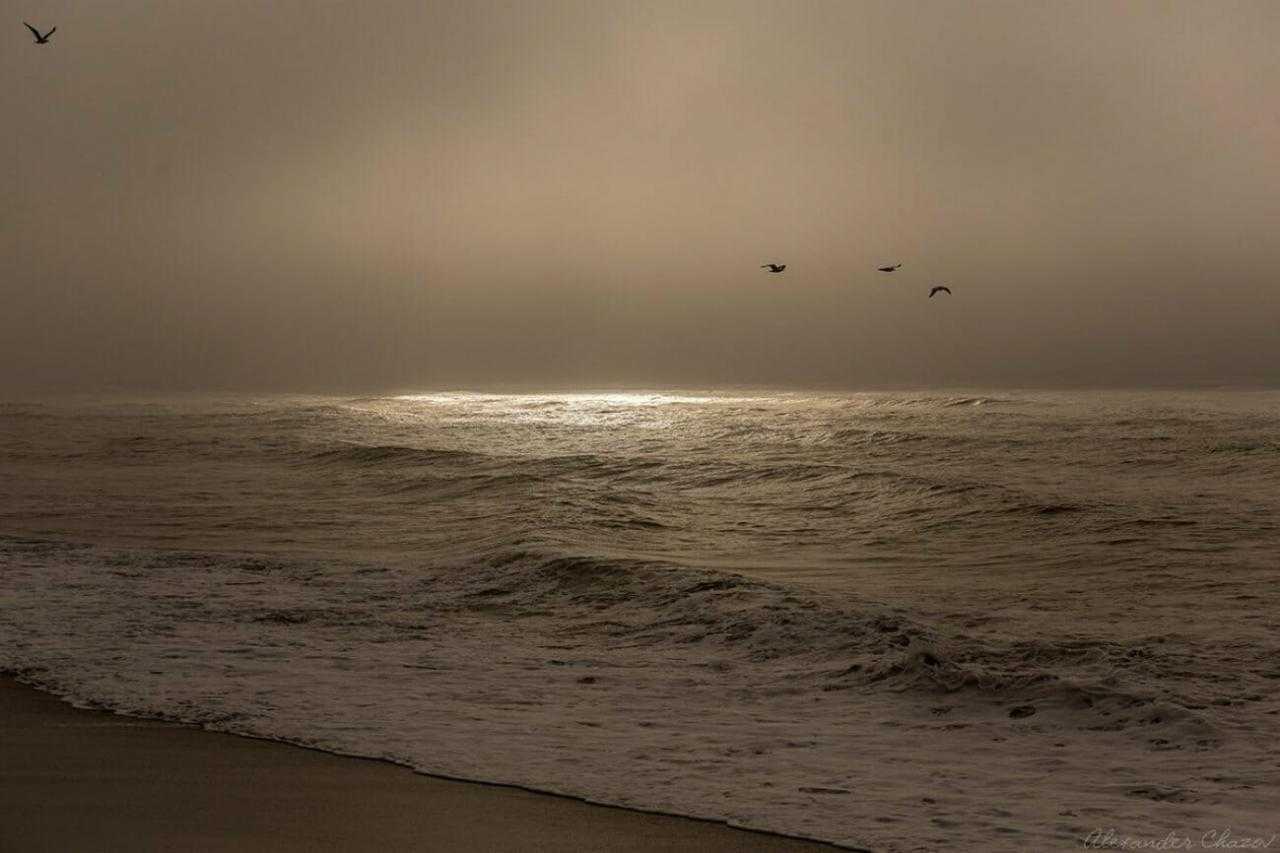 Закат над морем с пляжем и летящими птицами