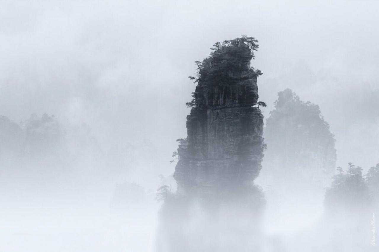 Одинокая скала в тумане, покрытом джунглями