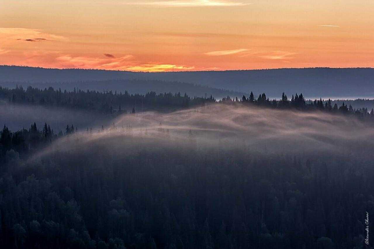 Туманная лесная долина на закате
