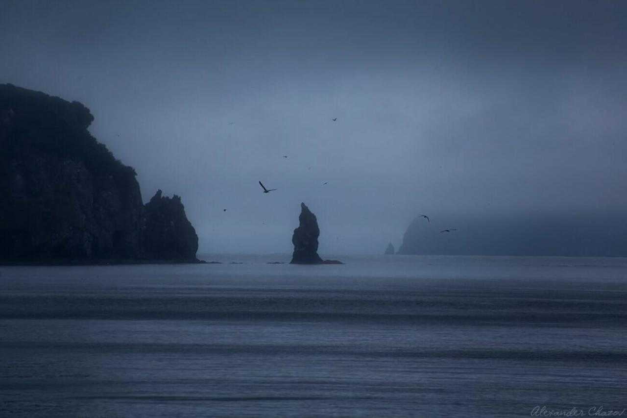 Одинокие скалы в море в тумане